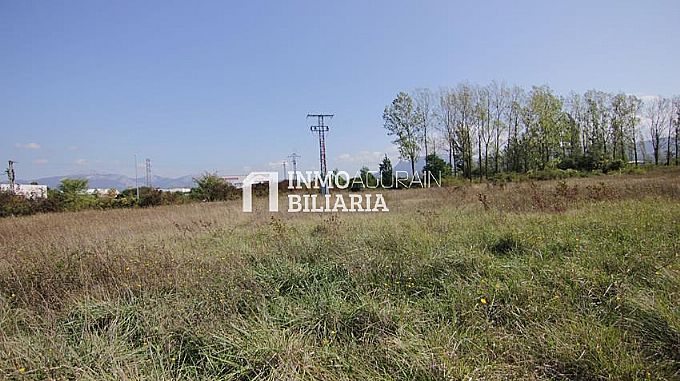PARCELA URBANA INDUSTRIAL EN AGURAIN
