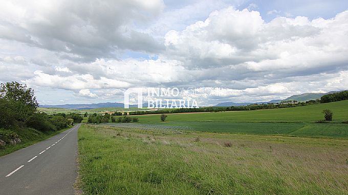 PARCELA RUSTICA EN ERENTXUN
