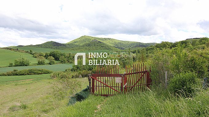 PARCELA RUSTICA EN ERENTXUN