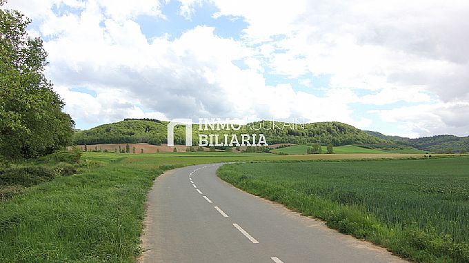PARCELA RUSTICA EN ERENTXUN