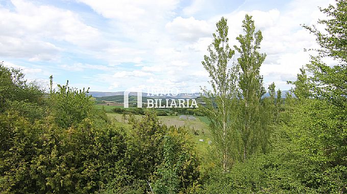 PARCELA RUSTICA EN ERENTXUN