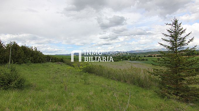 PARCELA RUSTICA EN ERENTXUN
