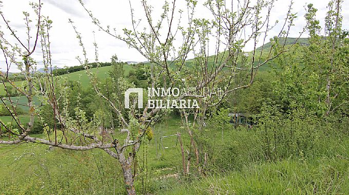 PARCELA RUSTICA EN ERENTXUN
