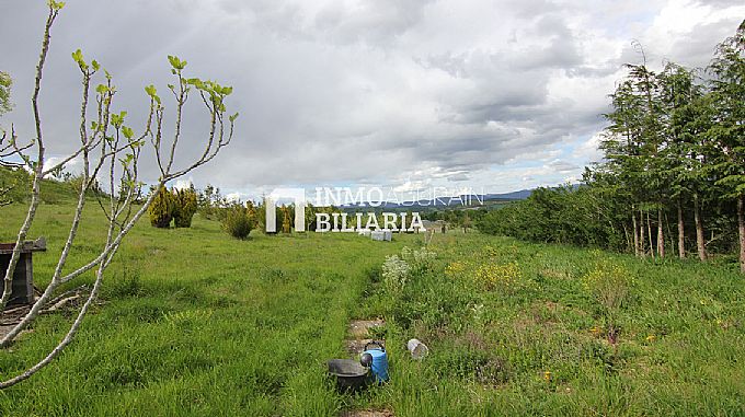 PARCELA RUSTICA EN ERENTXUN