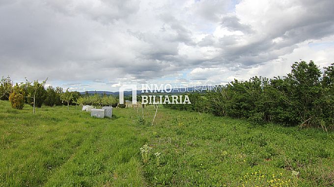 PARCELA RUSTICA EN ERENTXUN