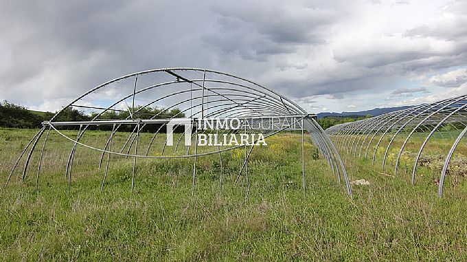 PARCELA RUSTICA EN ERENTXUN