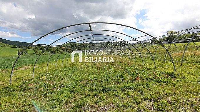 PARCELA RUSTICA EN ERENTXUN