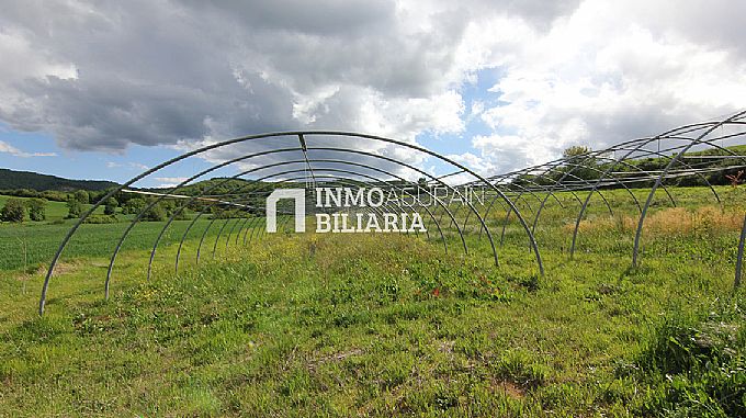 PARCELA RUSTICA EN ERENTXUN