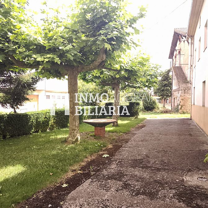 CASA + HUERTA Y EDIFICIO + SOLAR EN GENEVILLA - 8