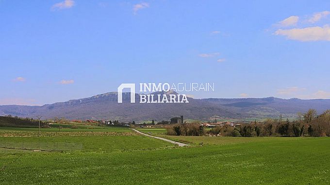 INMOBILIARIA AGURAIN VENDE PARCELA RSTICA EN ZALDUONDO