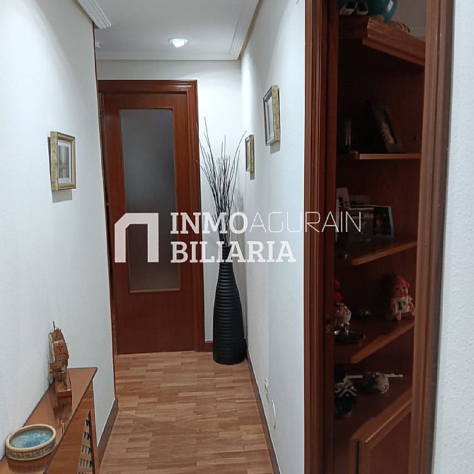 INMOBILIARIA AGURAIN VENDE PISO EN ALEGR�A-DULANTZI - 8