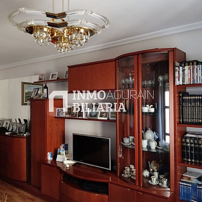 INMOBILIARIA AGURAIN VENDE PISO EN ALEGR�A-DULANTZI - 1