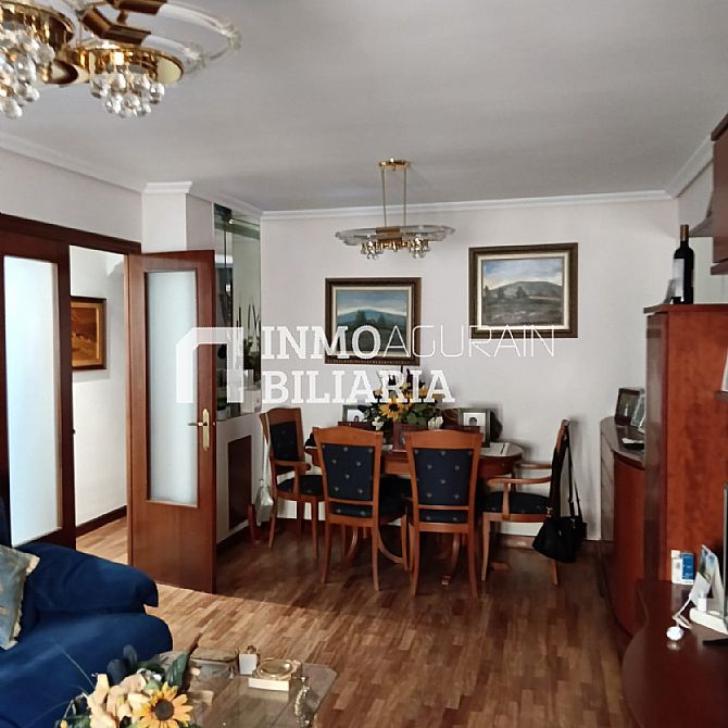 INMOBILIARIA AGURAIN VENDE PISO EN ALEGR�A-DULANTZI - 9