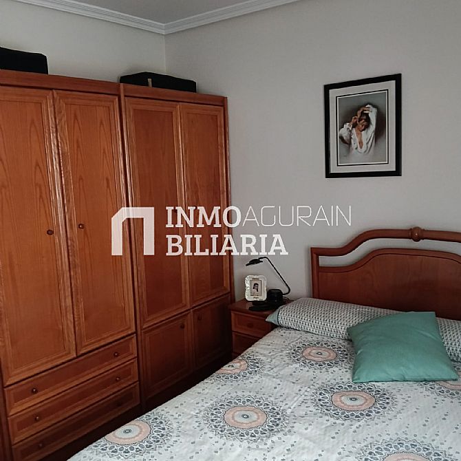 INMOBILIARIA AGURAIN VENDE PISO EN ALEGR�A-DULANTZI - 18