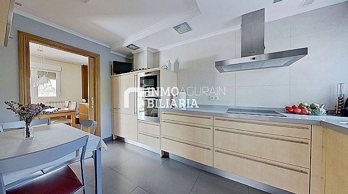 INMOBILIARIA AGURAIN VENDE  MAGNFICA VIVIENDA UNIFAMILIAR EN ARAIA (ASPARRENA, LAVA)
