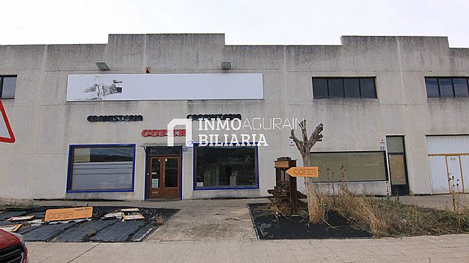 Nave industrial en Alegria/Dulantzi