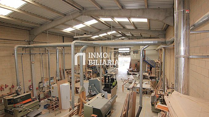 Nave industrial en Alegria/Dulantzi
