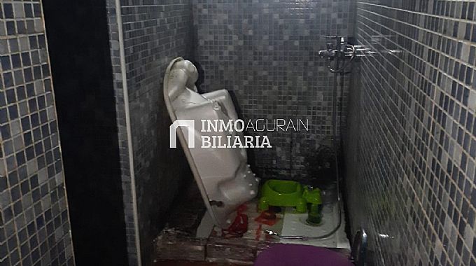 PISO BAJO EN PINTORERIA DE VITORIA/GASTEIZ