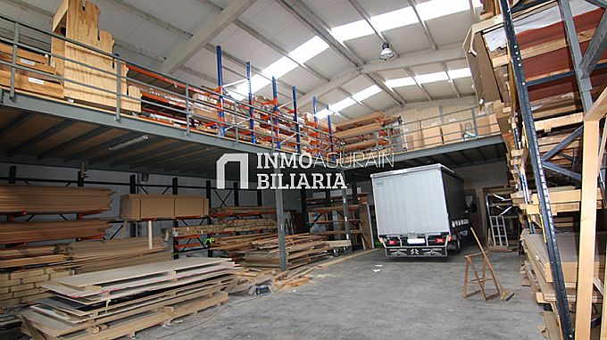 NAVE INDUSTRIAL EN ALEGRIA-DULANTZI