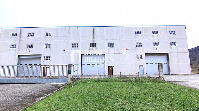 NAVE INDUSTRIAL EN ARAIA (ASPARRENA) ALAVA