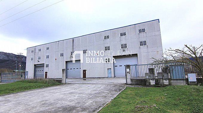 NAVE INDUSTRIAL EN ARAIA (ASPARRENA) ALAVA