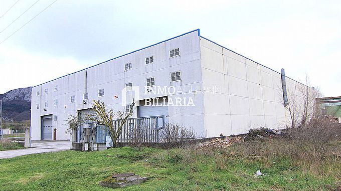 NAVE INDUSTRIAL EN ARAIA (ASPARRENA) ALAVA