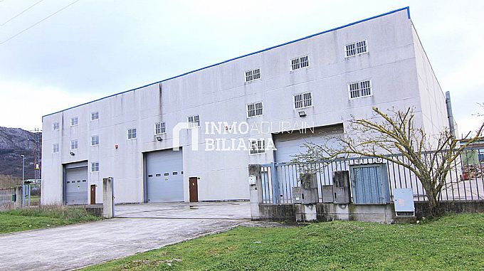 NAVE INDUSTRIAL EN ARAIA (ASPARRENA) ALAVA