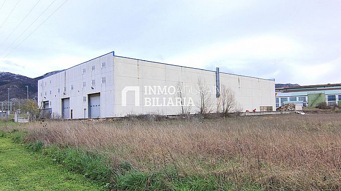 NAVE INDUSTRIAL EN ARAIA (ASPARRENA) ALAVA