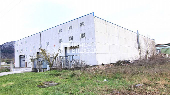 NAVE INDUSTRIAL EN ARAIA (ASPARRENA) ALAVA