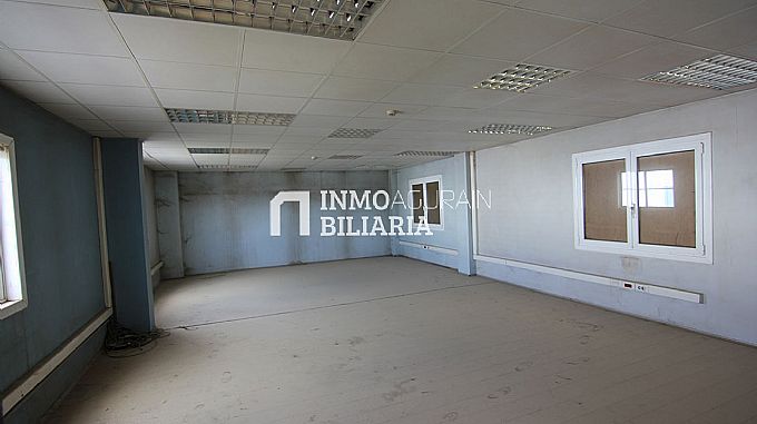 NAVE INDUSTRIAL EN ARAIA (ASPARRENA) ALAVA