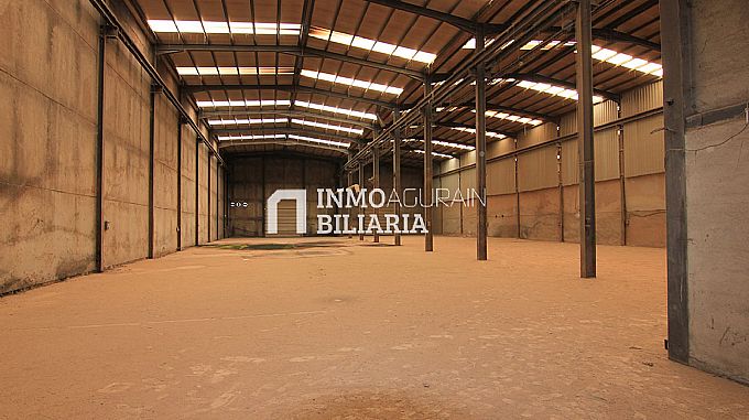 NAVE INDUSTRIAL EN ARAIA (ASPARRENA) ALAVA