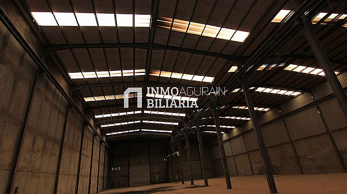 NAVE INDUSTRIAL EN ARAIA (ASPARRENA) ALAVA