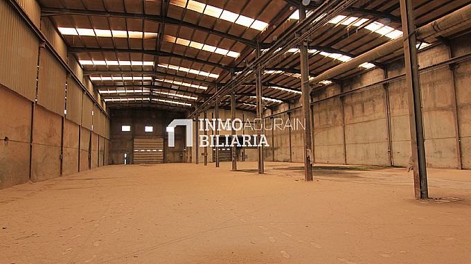 NAVE INDUSTRIAL EN ARAIA (ASPARRENA) ALAVA