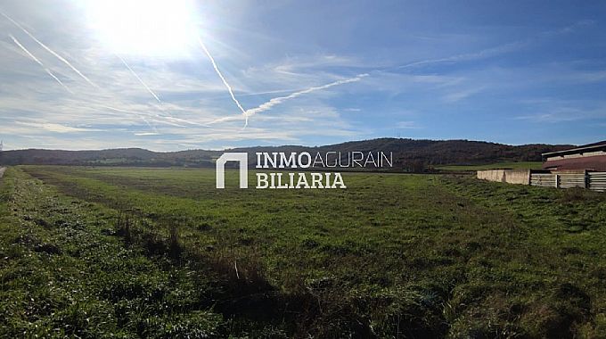 SE VENDEN 3 FINCAS RSTICAS EN NARBAIZA