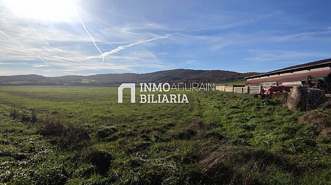 SE VENDEN 3 FINCAS RSTICAS EN NARBAIZA