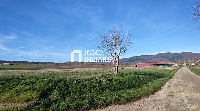 SE VENDEN 3 FINCAS RSTICAS EN NARBAIZA