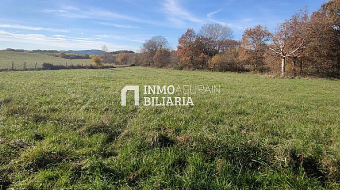 SE VENDEN 3 FINCAS RSTICAS EN NARBAIZA