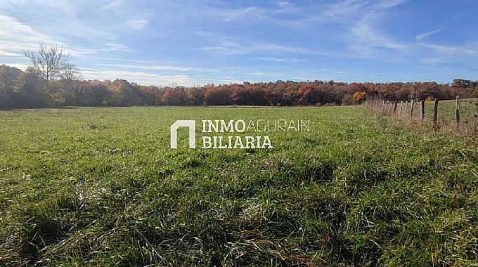 SE VENDEN 3 FINCAS RSTICAS EN NARBAIZA