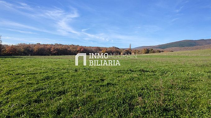 SE VENDEN 3 FINCAS RSTICAS EN NARBAIZA
