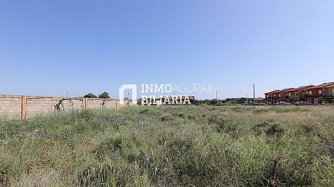 Venta de parcela urbana en Alfantega