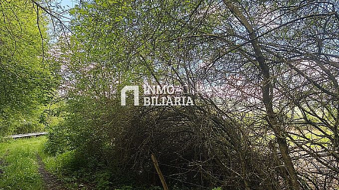 Venta de parcela urbana en Altsasu/Alsasua