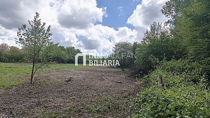 Venta de parcela urbana en Altsasu/Alsasua