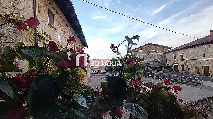Venta de piso en Apellaniz