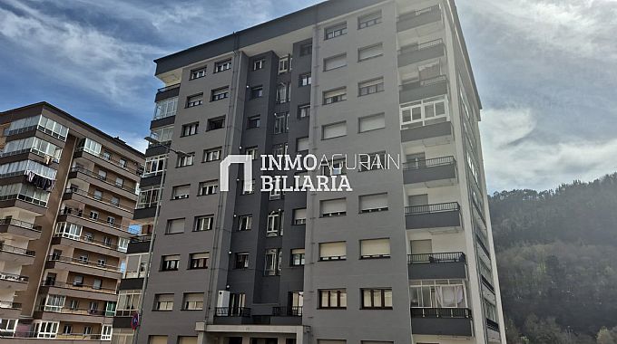 PISO EN LAS TORRES DE AMA�A DE EIBAR