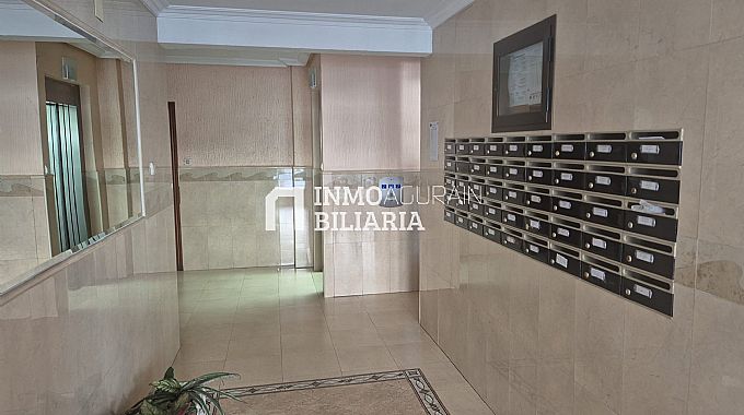 PISO EN LAS TORRES DE AMA�A DE EIBAR