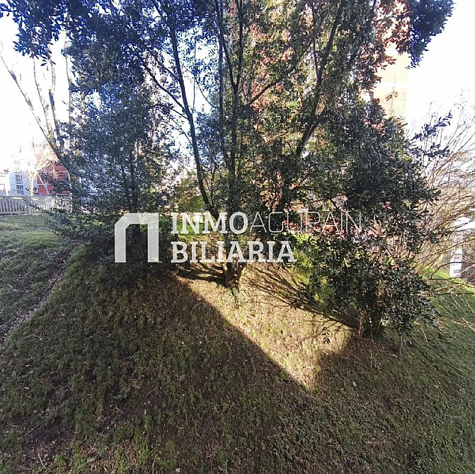 PISO EN JUAN CRISOSTOMO ARRIAGA DE ERRENTERIA - 6